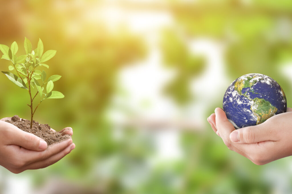 The Next Big Thing in Home Energy Storage - Discover the Latest Breakthroughs Today!