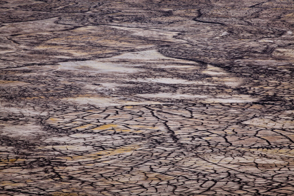 Weather-Proof Your Roof: Tips for Maintenance in Any Climate! | DroneQuote