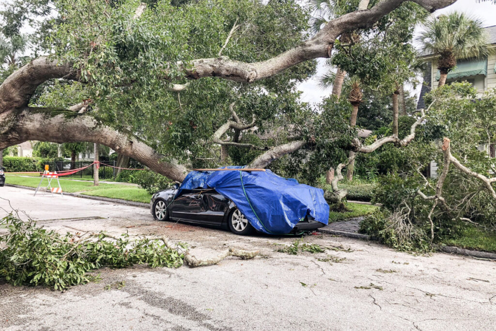 Weather-Proof Your Roof: Tips for Maintenance in Any Climate! | DroneQuote