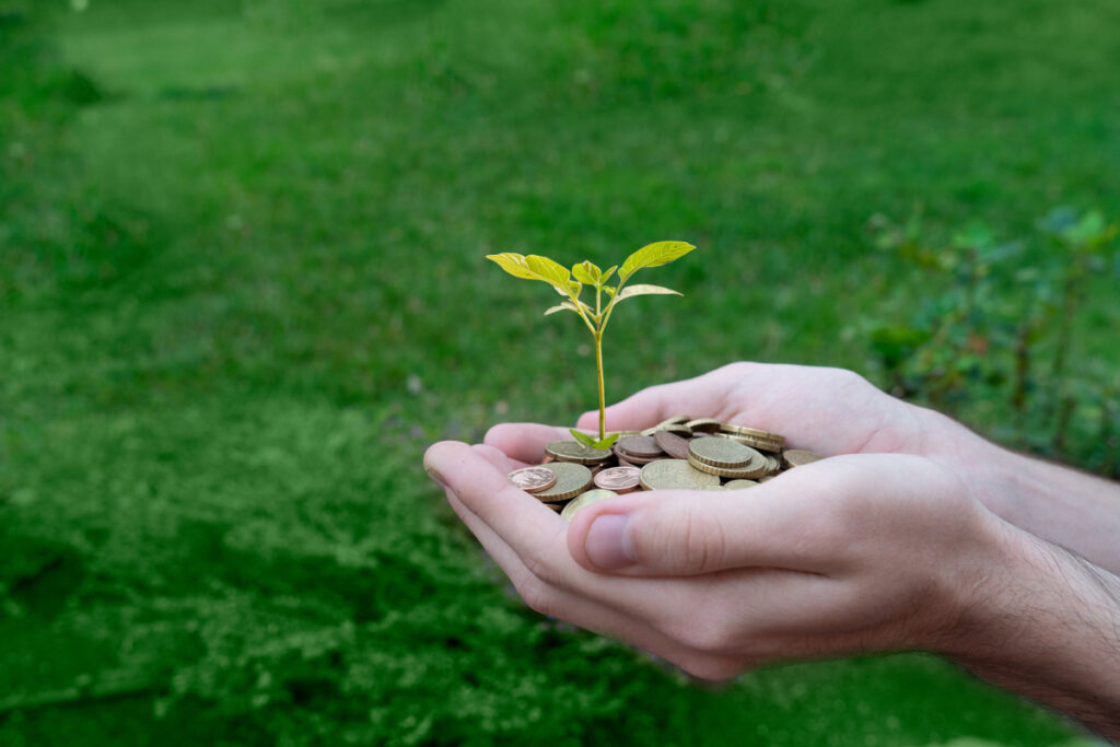 Transform Your Home into a Sustainable Haven – Install Now with Green Mountain Energy