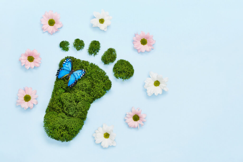 From Start to Finish: A Step-by-Step Guide for Installing Solar Panels with Tallahassee Utilities!