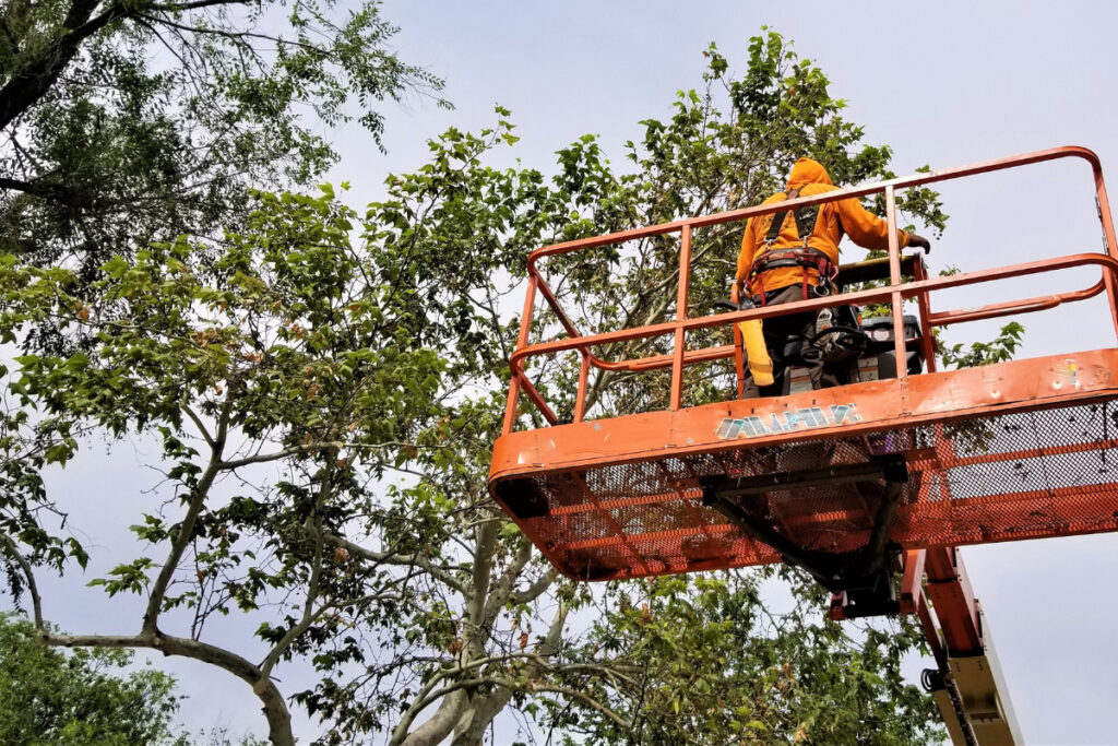 Power Down, Stay Safe: Top Tricks for Coping with Severe Weather Disruptions 