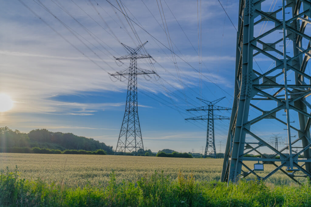 reslient power grids